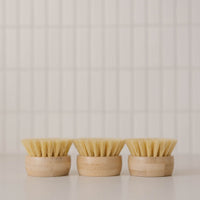 3 replacement heads for Nellie's Forever Brush handle