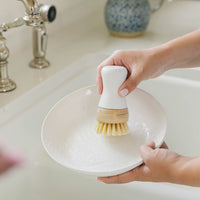 Person using Nellie's Kitchen Brush to clean white plate in their kitchen sink