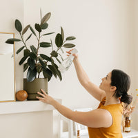 Person spraying plant using Nellie's One Bottle