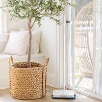 Wow Too Mop beside a house plant.