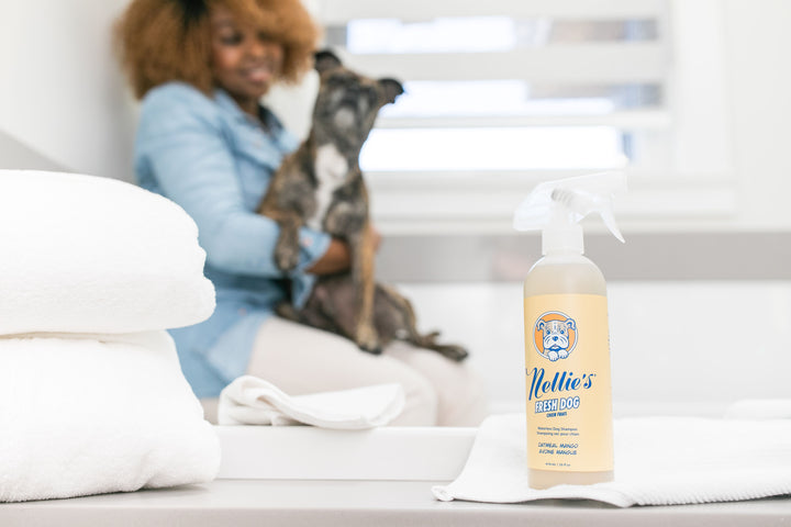 Smelly Pup? Nellie to the Rescue! Introducing Fresh Dog