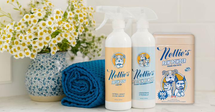 Keeping It Clean for Your Pets: Why Planet Friendly Pet Care Matters