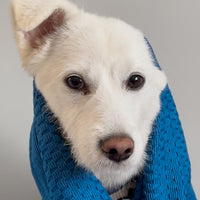 DBL DRY Dog Towel