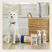 Fresh Pet Bundle
