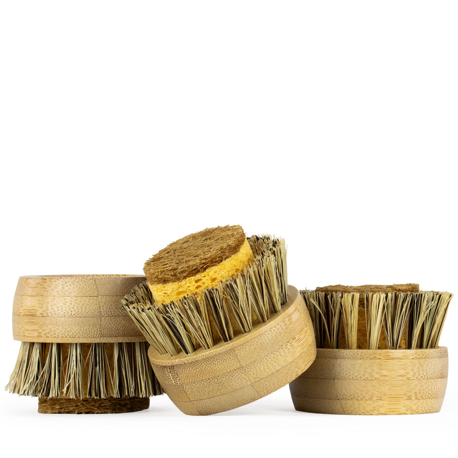 3 replaceable bamboo bristled heads with sponge core for Forever dishwashing brush