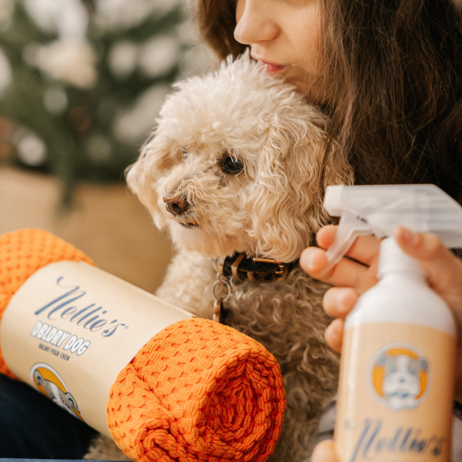 Child holding dog, microfibre towel and dog shampoo