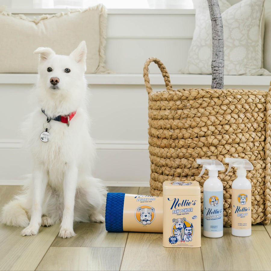 Pet Stain and Odour Remover