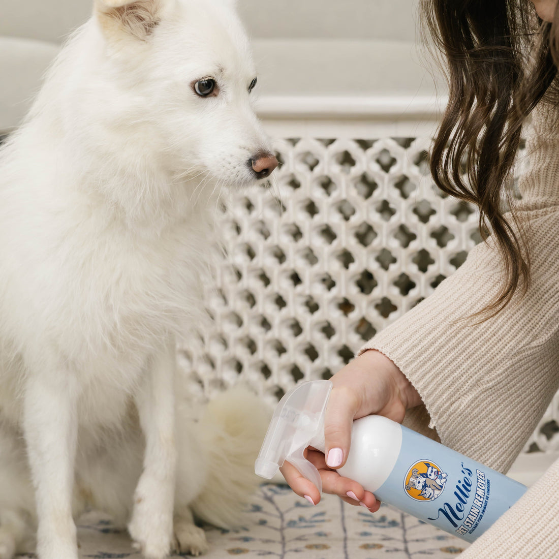 Pet Stain and Odour Remover