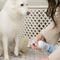 Pet Stain and Odour Remover