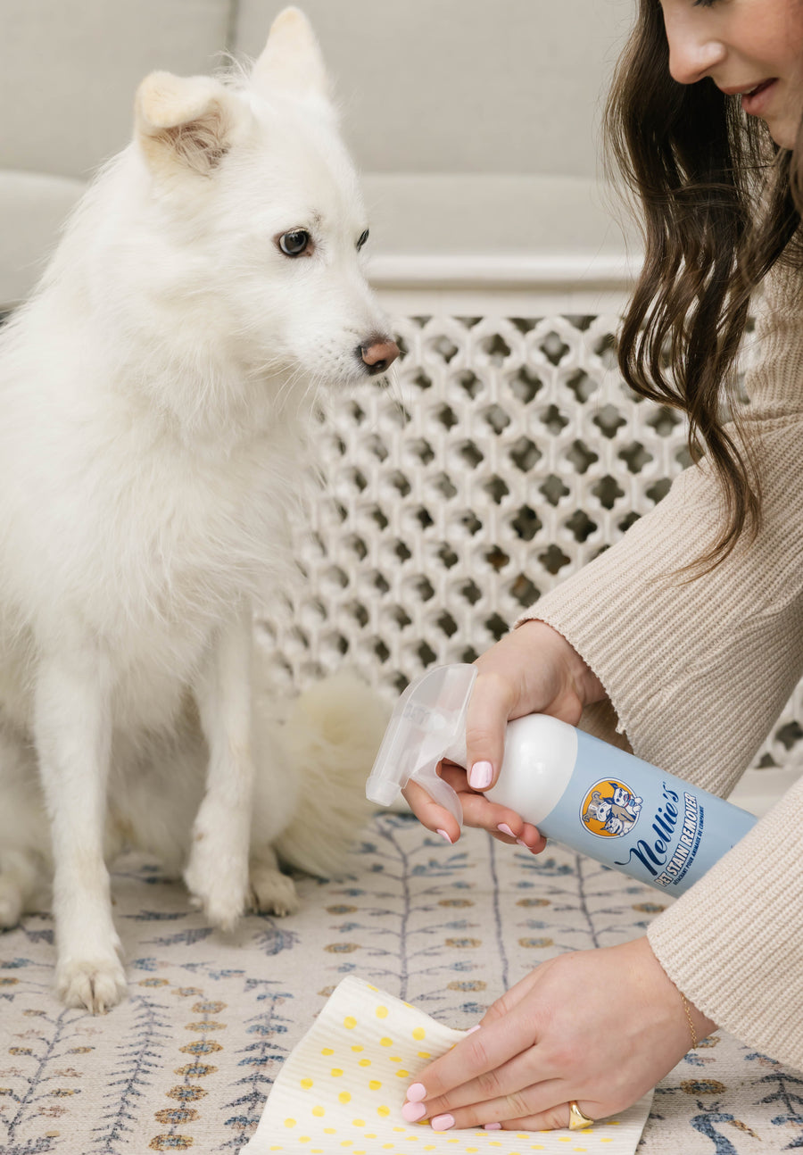 Pet Stain and Odour Remover