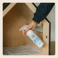 Pet Stain and Odour Remover
