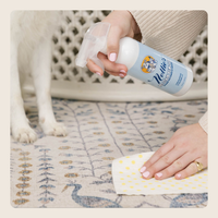Pet Stain and Odour Remover