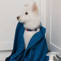 DBL DRY Dog Towel