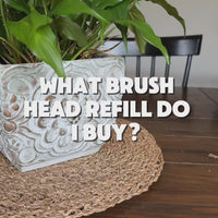 Forever Brush Replacement Heads 3 Pack